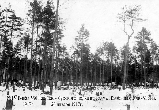 Бивак 530 полка в лесу у д.Баровцы с 20 по 31 января 1917 г., 20 января 1917 г.