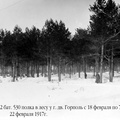 Бивак 2 батальона 530 полка в лесу у г. дв.Горполь с 18 февраля по 7 марта 1917 г., 22 февраля 1917 г. 