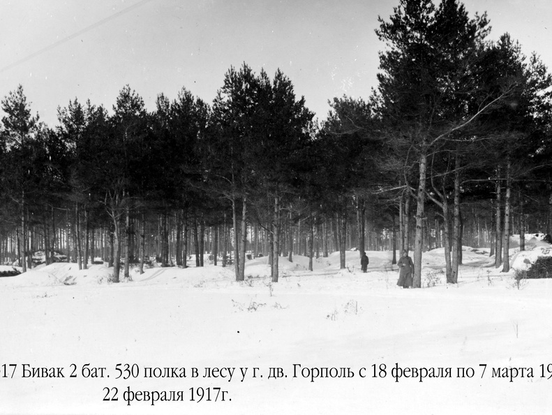 Бивак 2 батальона 530 полка в лесу у г. дв.Горполь с 18 февраля по 7 марта 1917 г., 22 февраля 1917 г. 
