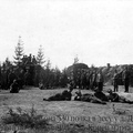 Бивак 2 батальона 530 полка в лесу у д.Долгое с 24 марта по 5 апреля 1917 г., конец марта 1917 г.