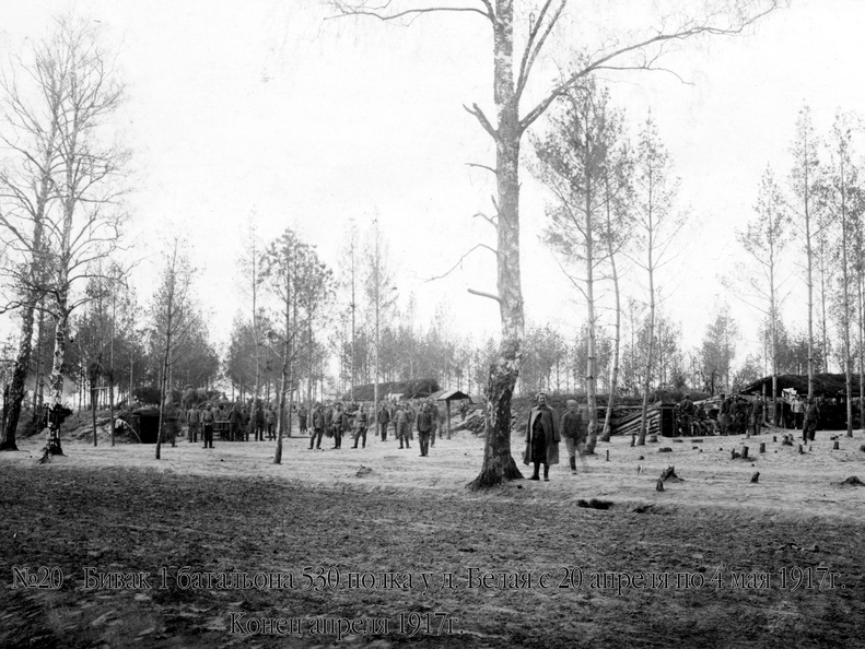 Бивак 1 батальона 530 полка у д.Белая с 20 апреля по 4 мая 1917 г., конец апреля 1917 г.