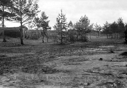 Бивак (часть) 530 пех. Вас-Сурского полка в лесу у д.Угляны Вилейского уезда, июнь 1917 г.
