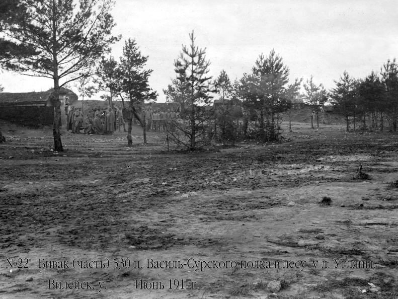 Бивак (часть) 530 пех. Вас-Сурского полка в лесу у д.Угляны Вилейского уезда, июнь 1917 г.
