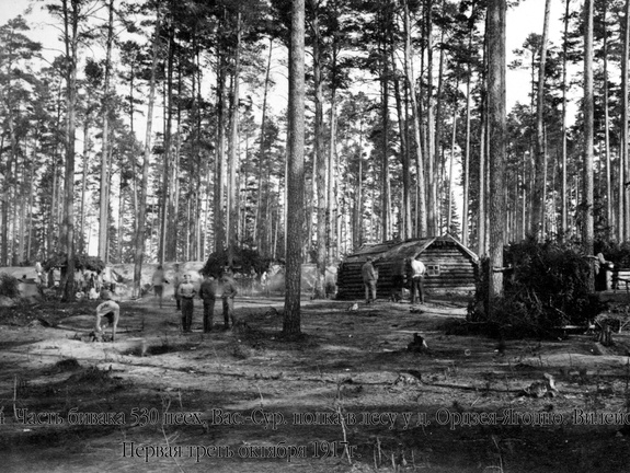 Часть бивака 530 пех. Вас.-Сурского полка в лесу у д.Ордзея-Ягодно. Вилейск. у., первая треть октября 1917 г.