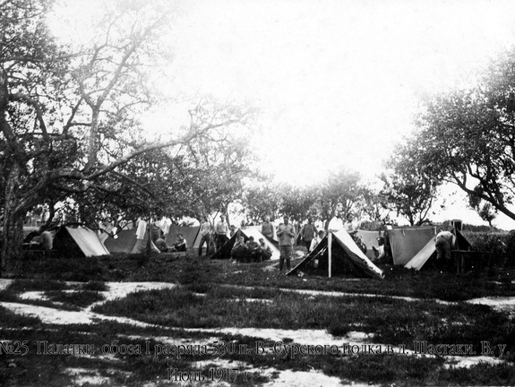 Палатки обоза I разряда 530 В.-Сурского полка в д.Шастаки, июль 1917 г.