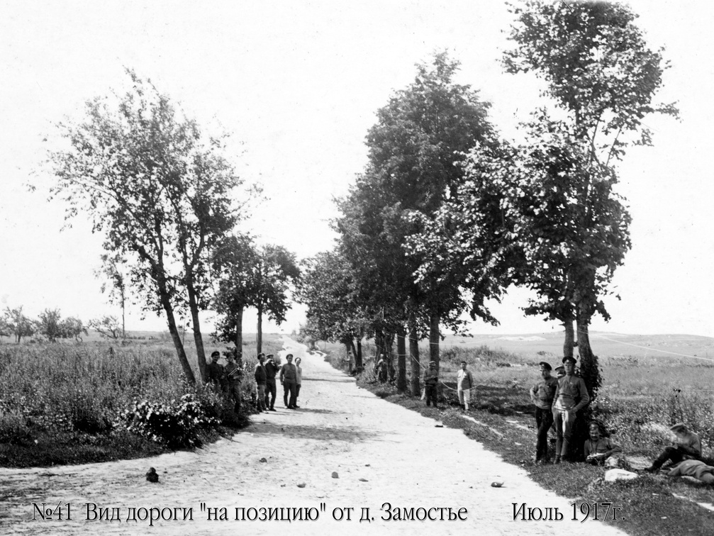 Вид дороги "на позицию" от д.Замостье, июль 1917 г.