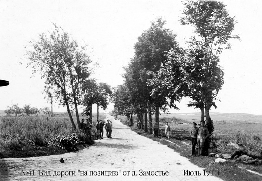Вид дороги "на позицию" от д.Замостье, июль 1917 г.