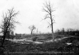 Вид на улицу в д.Свиридовичи в 5 верстах к югу от Сморгони, апрель 1917 г.