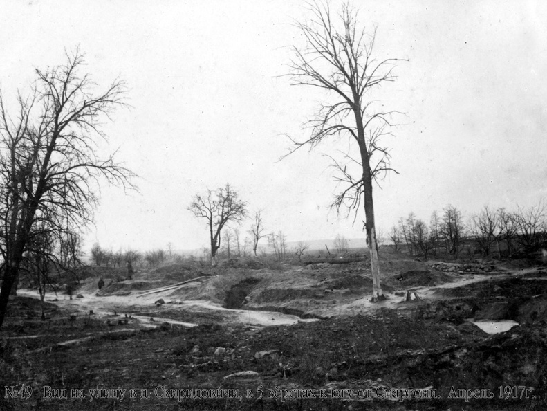Вид на улицу в д.Свиридовичи в 5 верстах к югу от Сморгони, апрель 1917 г.