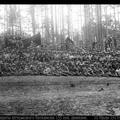 Солдаты штурмового батальона  133 пех. дивизии. 10 июля 1917 г.