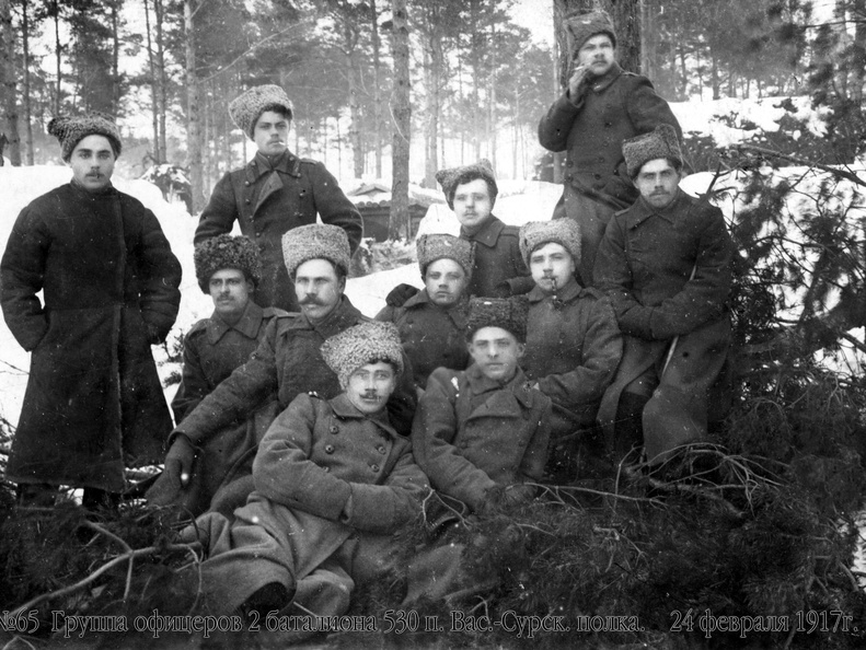 Группа офицеров 2 батальона 530 п. Вас.-Сурск. полка. 24 февраля 1917 г.