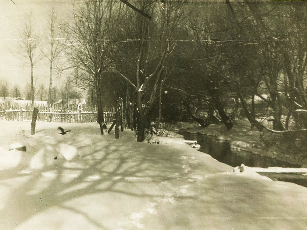 Зимний парк, 1960 г.