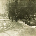 Зимний парк, 1960 г.