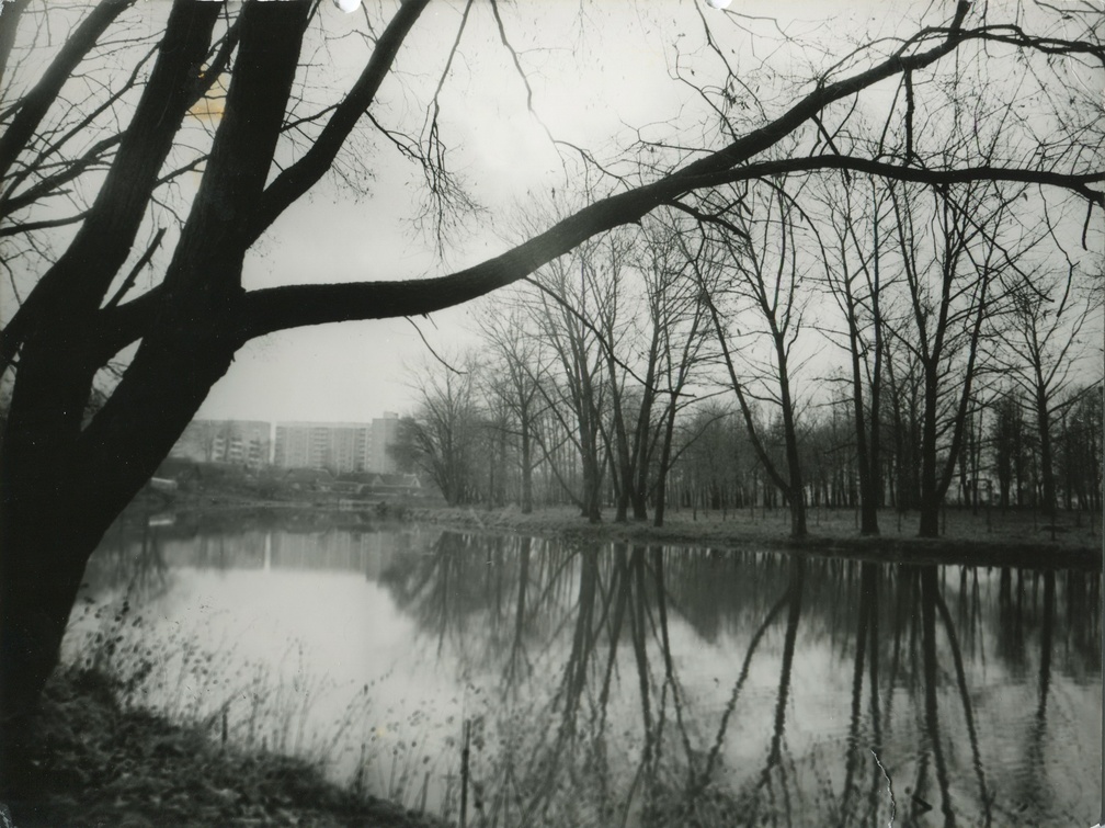 Озеро в городском парке, 90-е