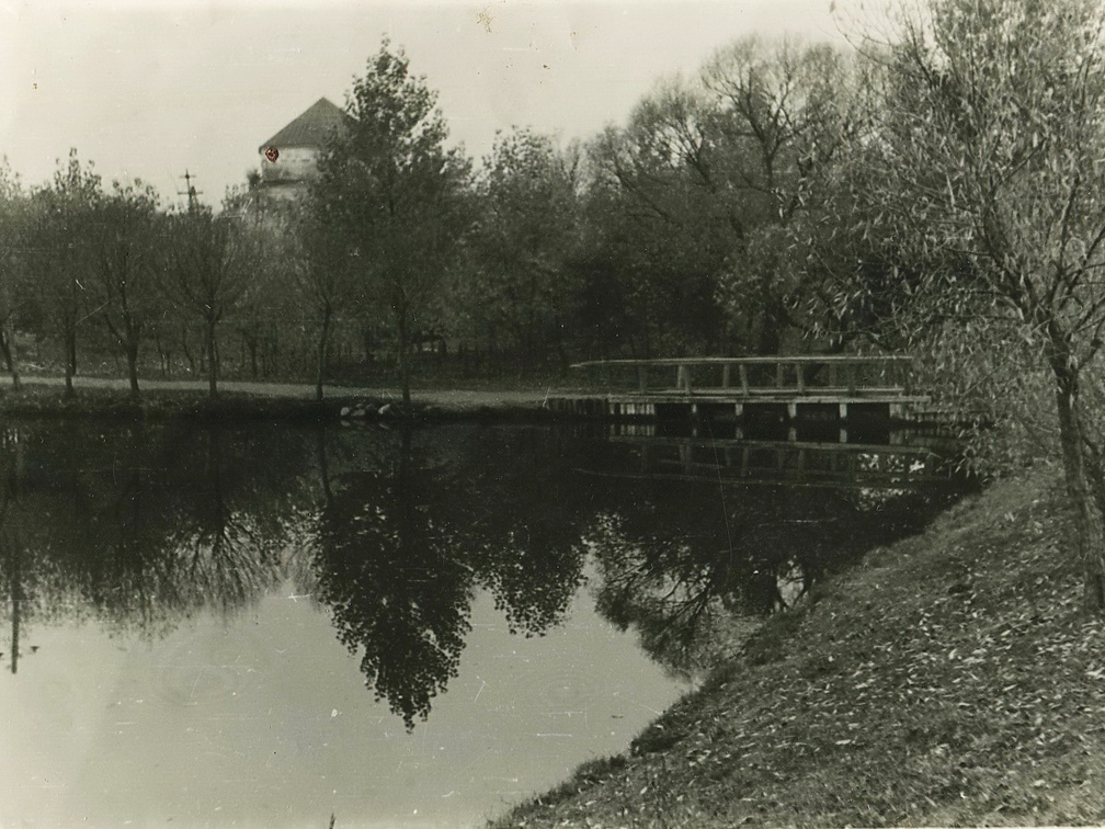 Озеро в городском парке