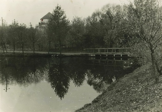 Озеро в городском парке