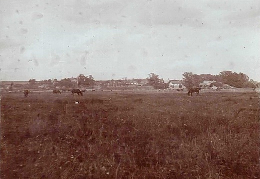 Данюшево, июль 1917 г.