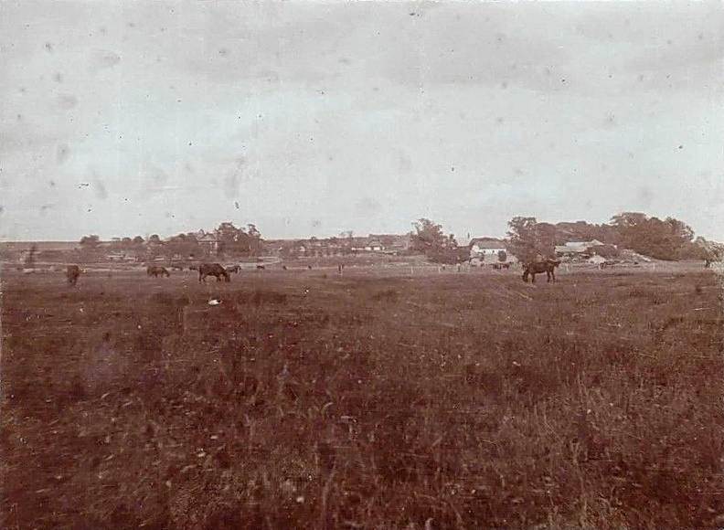 Данюшево, июль 1917 г..jpg