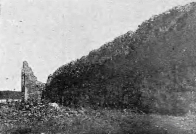 Западная стена кревского замка, 1938 г..jpg