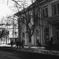Image-26.JPG